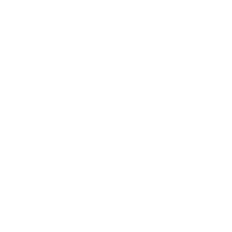 Zukunftsregion