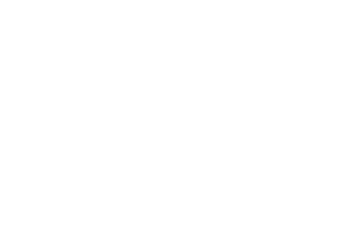 GRÜNLAND Festival Steyr